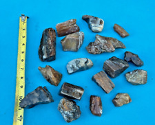 Texas Petrified Wood LOT Agatized Translucent Cabochon Jewelry Grade Material picture