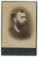 Antique c1880s Cabinet Card Handsome Man With Incredible Beard Indianapolis, IN picture