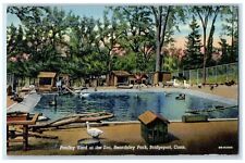 1944 Poultry Yard At Zoo Beardsley Park Bridgeport Connecticut CT Pool Postcard picture