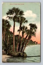 Indian River FL-Florida, Scenic View Indian River, Antique Vintage Postcard picture