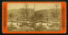 b149, CW Woodward Stereoview, #1733, Lentz' Trout Farm, PA, 1870s picture