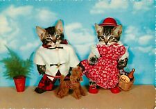 TWO CATS with Dog DOLLS FAIRY TALE Kruger, made in Western Germany POSTCARD, New picture