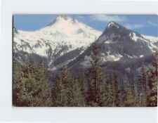 Postcard Mt. Jefferson Oregon USA picture