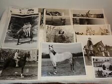 High Style Stables 1960s Wheaton Illinois Horses Animals People Rare Photo Lot picture