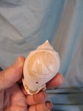 BEAUTIFUL VINTAGE HAND CARVED CONCH SHELL SAILBOAT DESIGN BEAUTIFUL 3 IN picture