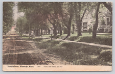 Postcard Wamego, Kansas, Ks, 1909, Lover's Lane A708 picture
