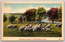 Postcard Greetings from Uniontown, Maryland sheep linen 1942 T123 picture