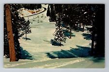Cloudcroft NM-New Mexico, Ski Cloudcroft, Antique, Vintage Souvenir Postcard picture
