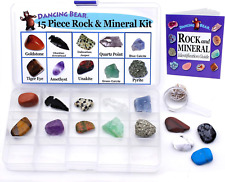 -15 Pc Rock & Mineral Collection with Collector Box/Display Case, ID Sheet, Rock picture