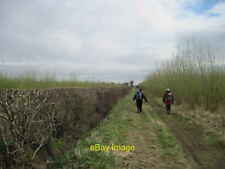 Photo 6x4 Bio Fuel crops either side of bridleway Barton-le-Street Slings c2013 picture