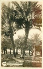 Indio California 1940s Shields Date Gardens RPPC Photo Postcard 21-10614 picture