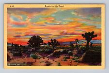 Evening Sunset on the Desert, Antique Vintage Souvenir Postcard picture