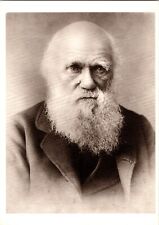 Postcard Charles Darwin English Naturalist Theory of Evolution Biology Paleo picture