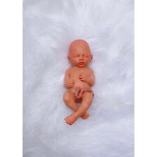 17 Weeks Baby Fetus, Stage of Fetal Development (Memorial/Miscarriage/Keepsake) picture