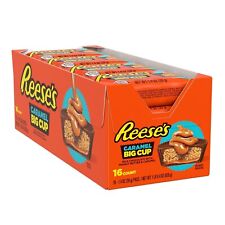 REESE'S Big Cup Caramel Milk Chocolate Peanut Butter Cups, 1.4 oz (16 Count) picture