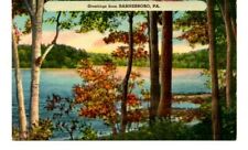 Barnesboro Pennsylvania Greetings Vintage Scenic Lake Scene Postcard PA B5 picture