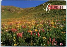 Postcard - Springtime in the Rockies - Colorado picture