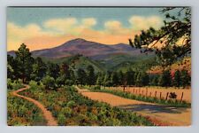 White Mountain NM-New Mexico, Ruidoso Highway, Antique Souvenir Vintage Postcard picture