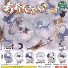 TAMA KYU Akanyai Ver.2 Capsule Toy All 6 Types Complete Set Gacha Japan picture