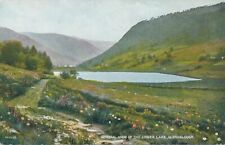 GLENDALOUGH - The Lower Lake General View - County Wicklow - Ireland picture