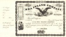 Sea Island Co. - Cotton History - Gorgeous 1860's circa South Carolina, Georgia, picture