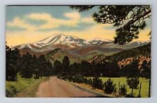 White Mountain NM-New Mexico, Ruidoso Highway, Vintage Souvenir Postcard picture
