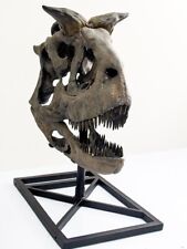 Carnotaurus sastrei, dinosaur skull replica 1:2 with support base picture