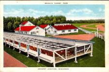Amherst Junction, WI Wisconsin SRODA'S TURKEY FARM Portage County LINEN Postcard picture