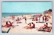 Clearwater Beach FL-Florida, Scenic Beach Sunbathing, Antique Vintage Postcard picture