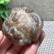 Top Bonsai Suiseki-Natural Gobi Agate Eyes Stone-Rare Stunning Viewing 100g A73 picture