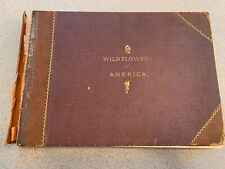 Botanical Fine Art Weekly “Wild Flowers of America” 1894 18 Booklets Bound Book picture