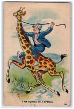 Gentry Arkansas AR Postcard I Am Coming On A Special Man Riding Giraffe 1908 picture