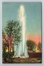 Roswell NM-New Mexico, Artesian Well, Oasis Ranch, Antique Vintage Postcard picture