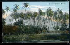 Early Cocoanut Palms and Lagoon Hawaii Historic Vintage Postcard M1447a picture