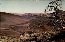 Discover Craters of the Moon National Monument's volcanic wonders. postcard picture