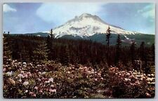 Rhododendron Flowers Mount Hood Oregon Snowcapped Mountain Forest VTG Postcard picture