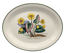 1970s English Enoch Wedgwood Tuns Botanical Nuphar Luteum Serving Platter picture