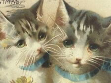 Beautiful Two Cats Christmas Postcard Blue Bows Holly Silver Foil Purple Border picture