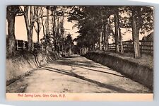 Glen Cove NY-New York, Scenic Red Spring Lane, Vintage c1936 Postcard picture