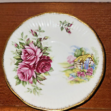 Vintage Rosina-Queens Fine Bone China Roses & Countey Cottage Saucer 5 1/4