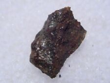 .214 grams NWA 5413 Meteorite ( H5 ) fragment in Northwest Africa with COA picture