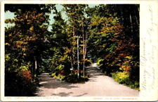 Parting of the Ways, Fork in the Road, Dublin, NH. Early Detroit Pub. Pstcard B1 picture