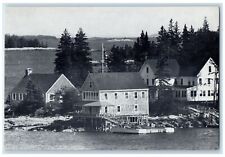 c1940's Audubon Camp Of Maine Hog Island Lincoln County Maine ME Trees Postcard picture