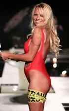 Pamela Anderson Baywatch 13x19 Photo Poster picture