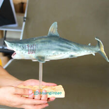 PNSO Megalodon Vinyl Model Painted Shark Statue 32cmL In Box Collection Limited picture