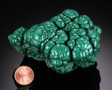 This awesome Malachite Brain displays excellent botryoidal growth well defined picture