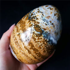 Rare 794G Natural Polished Orbicular Ocean Jasper Egg Reiki Healing  YQ152 picture