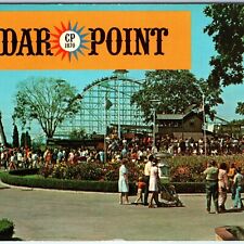 c1960s Sandusky, OH Midway Amusement Park Cedar Point Streak Roller Coaster A231 picture