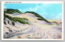 Sand Dunes. Cape Cod Massachusetts  Postcard picture