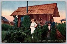 Cabin Cedar Stump Washington Wash State Log Cabin Historic Vintage UNP Postcard picture